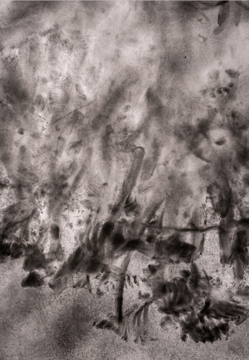 Bildschirmfoto 2018-11-27 um 15.29.24